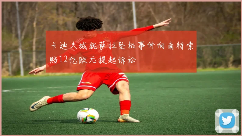 卡迪夫城就萨拉坠机事件向南特索赔12亿欧元提起诉讼