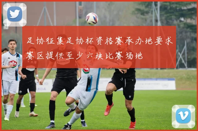 足协征集足协杯资格赛承办地要求赛区提供至少六块比赛场地